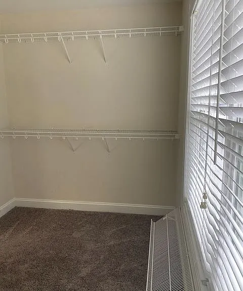 224 Green Trees Dr — Photo 49