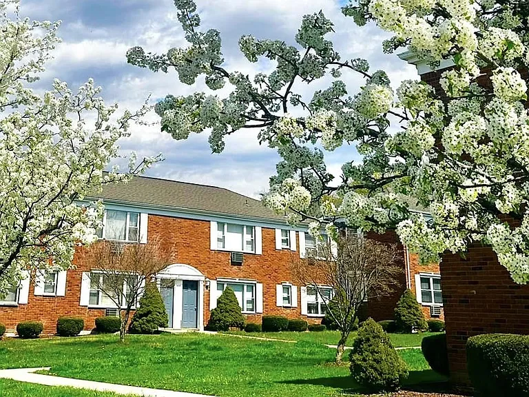 Ridgefield Apartments — Photo 9