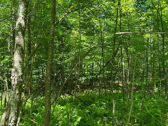 4th image of Lots 11 & 13 Cherry Wood Ln