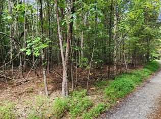 14 Donna Lee Ln, Mineral Bluff, GA 30559