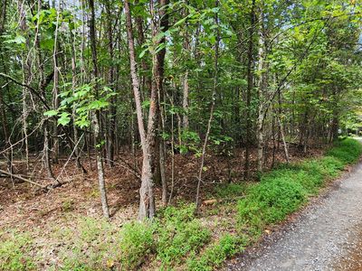 14 Donna Lee Ln, Mineral Bluff, GA, 30559