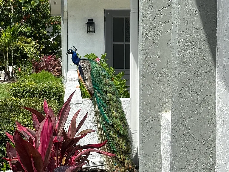 691 Russell St — Photo 33