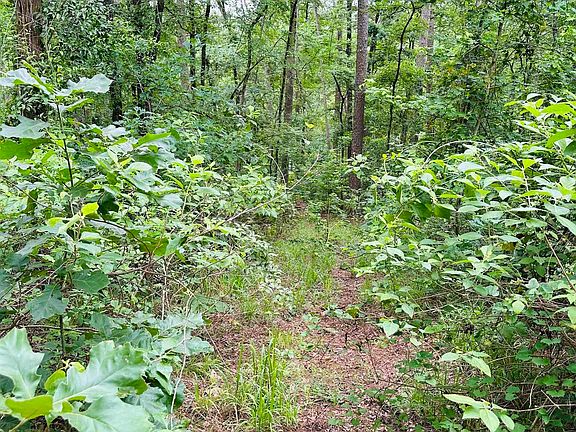 4th image of County Road 4590