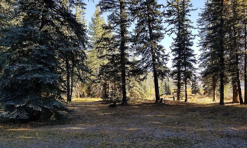 1st image of 667 Mushroom Ln