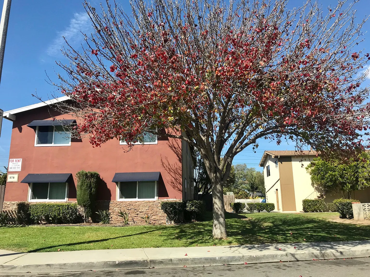 970 Mission Dr — Photo 3
