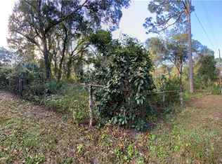 17080 SE 86th Ln, Ocklawaha, FL 32179