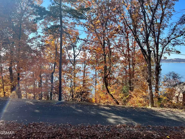 LOT 1140 Lakefront Pl, White Pine, TN 37890