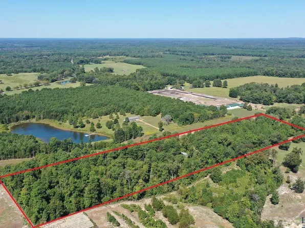 State Highway 8, Linden, TX 75563