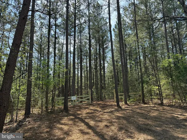 3 Covered Bridge Rd, Kents Store, VA 23084