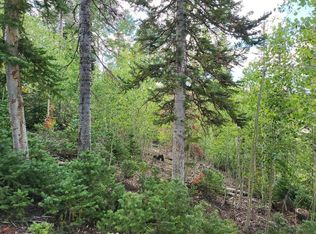 411 N Aoki Michi Rd, Brian Head, UT 84719