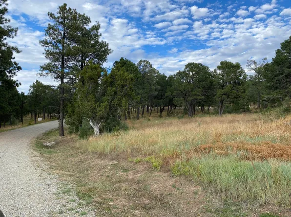 10 Wild Wing Cir, Pecos, NM 87552