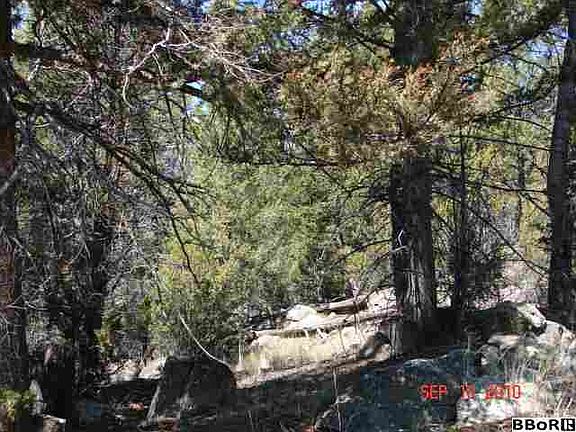 2nd image of 2 Tbd Hwy W