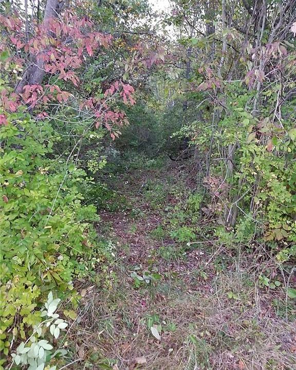 2nd image of Center Rd