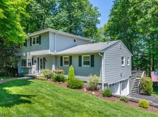 10 Brittany Rd, Succasunna, NJ 07876