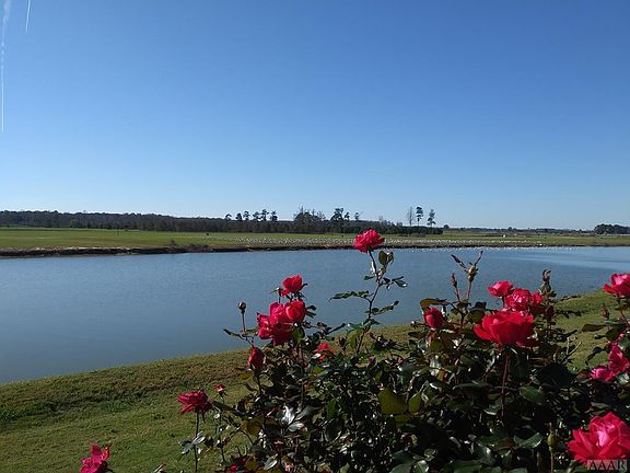5th image of 313 Scotch Hall Court LOT 87