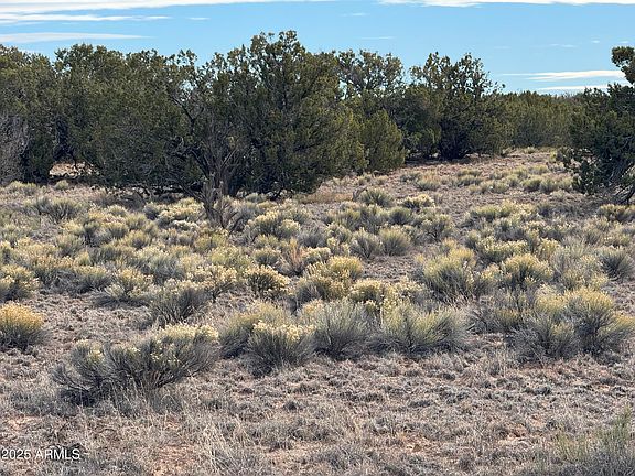 5th image of Lot 338 Sierra Highlands Ranch -- #338