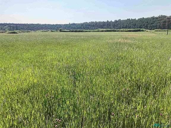 3rd image of County Road 531/340 Rd