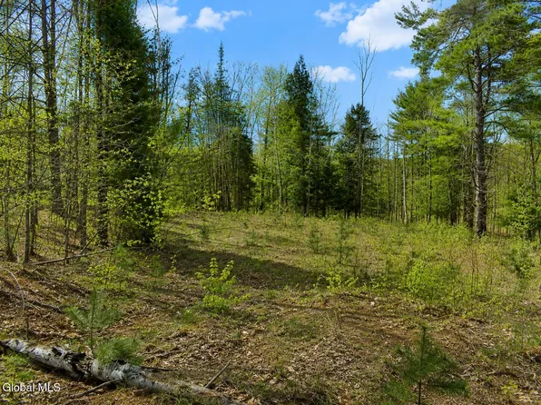 L86 Highview Lane Lot 2, Wevertown, NY 12886