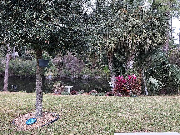 Outside Lanai - Winter