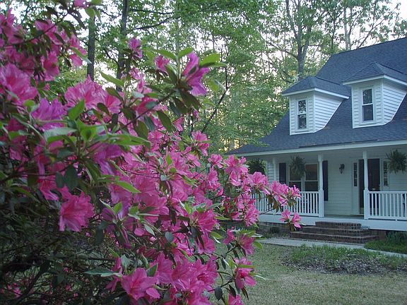 2nd image of 411 Barfield Dr
