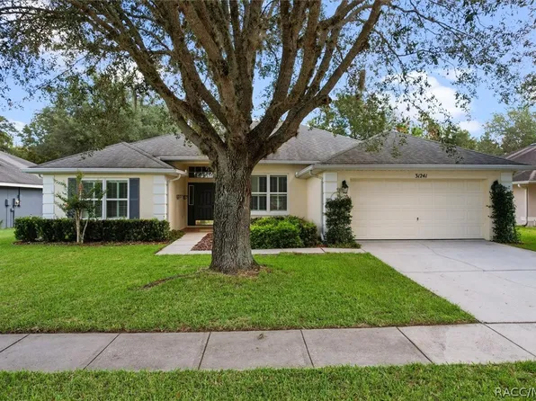 31241 Satinleaf Run, Brooksville, FL 34602