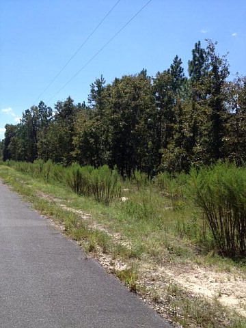 1st image of LOT 14 NE 74th Ave