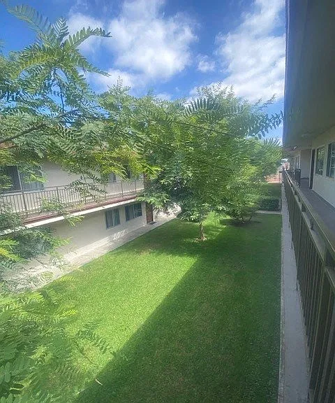 Plaza Court — Photo 6