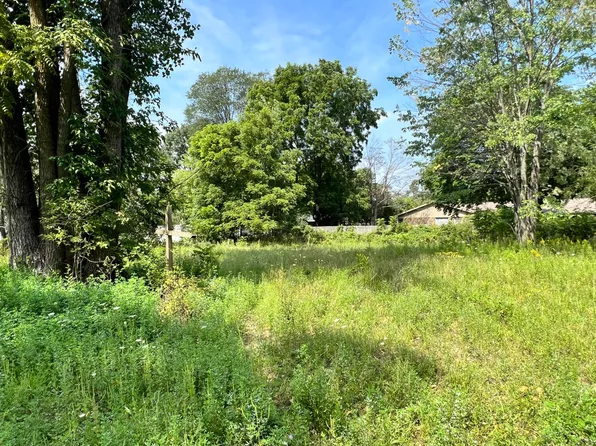 197 & 205 E Elm St, Cedar Springs, MI 49319