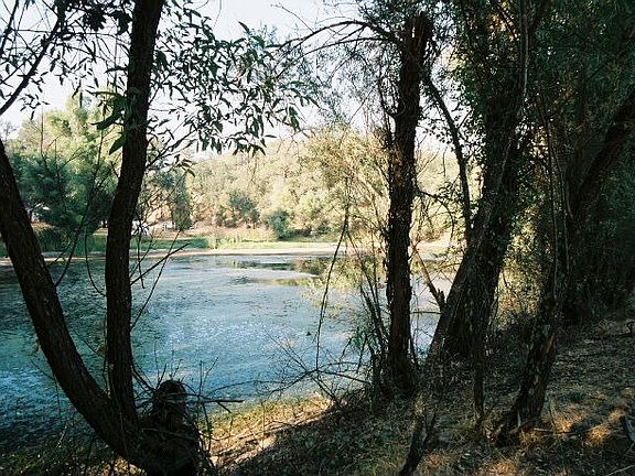 This is the pond . . . in summertime. 