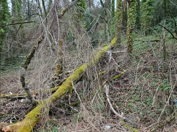 121 Rainier Avenue N, Renton, WA 98057