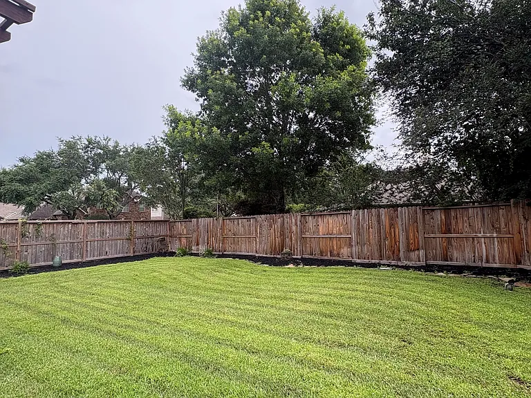 Backyard 2