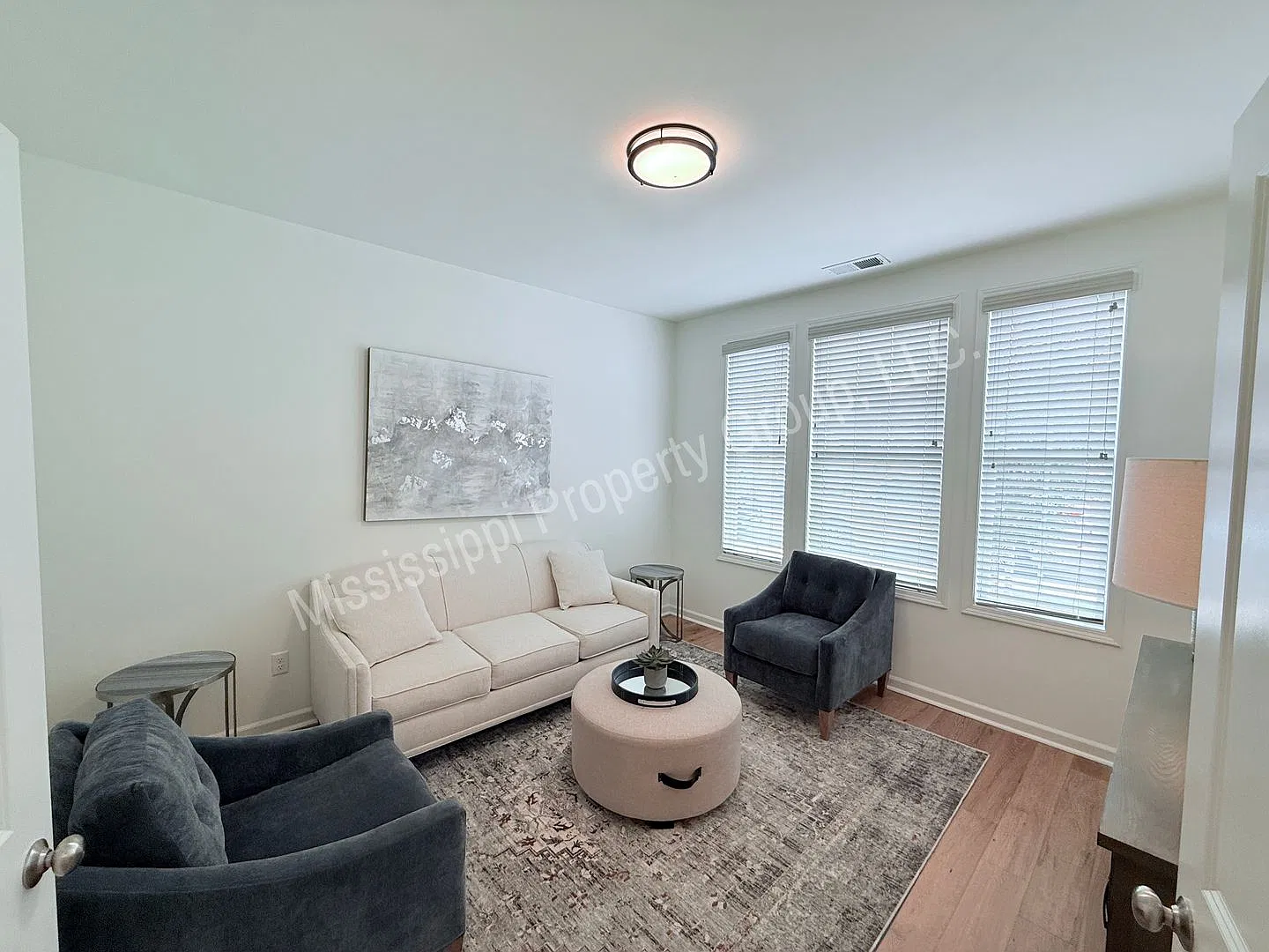 3BR/2.5 Bath Furnished Rental — Photo 4