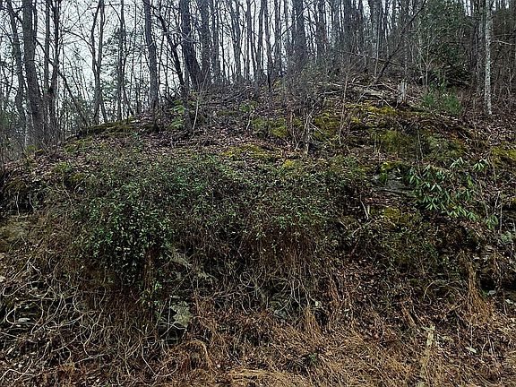 5th image of LOT 6 Wildcat Ridge Rd