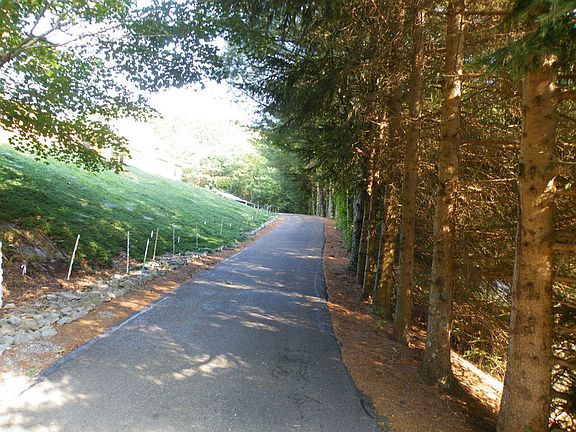 Driveway to the brick house