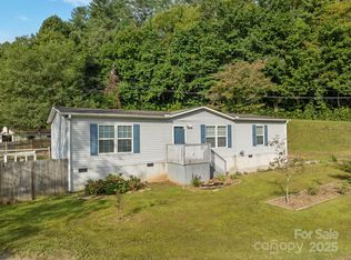 154 Turkey Pen Gap Rd, Horse Shoe, NC 28742