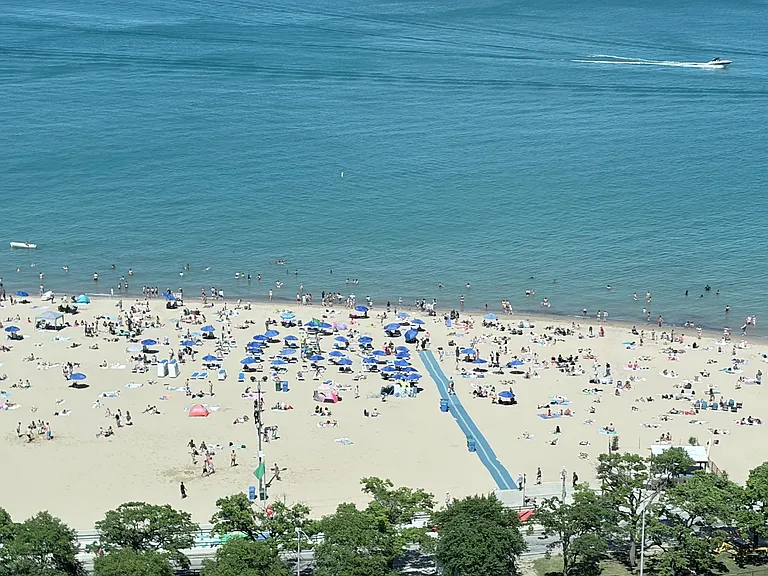 1000 N Lake Shore Dr #2209 — Photo 16