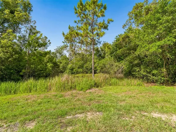 0 Hamrich Dr #5, Dade City, FL 33525