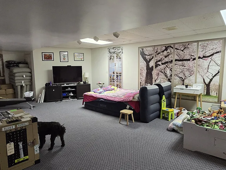 Basement living area
