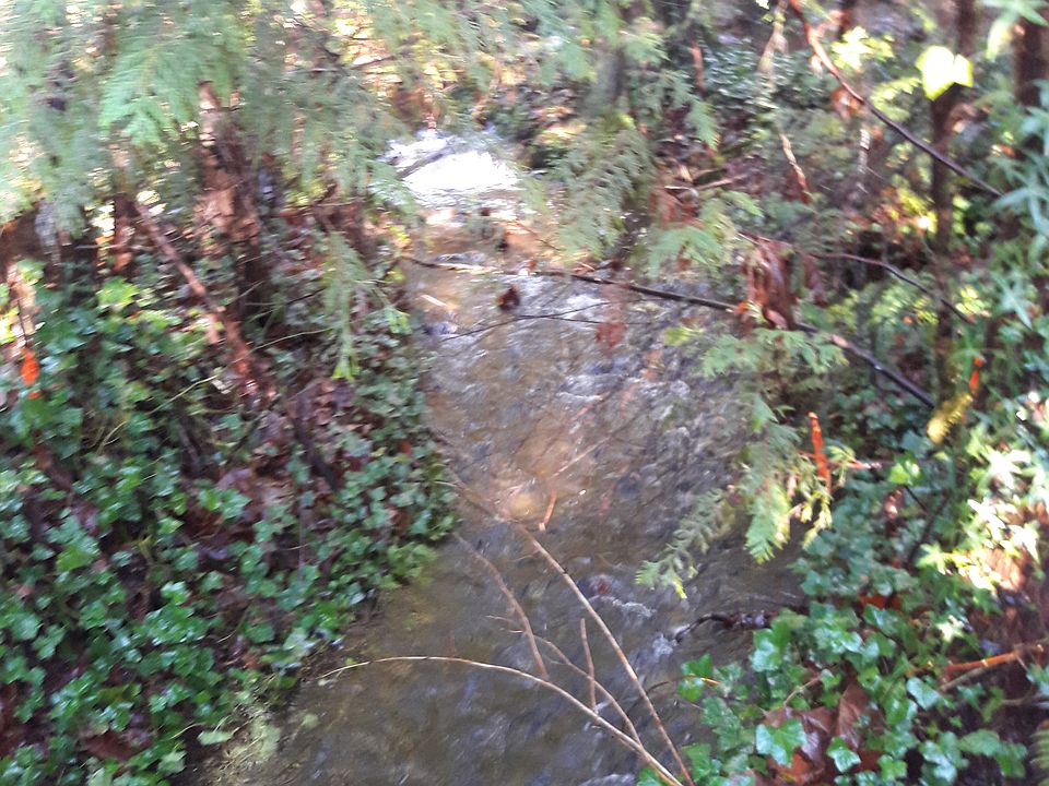 Creek