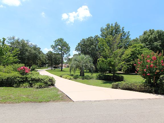 Large Lot w/ Beautiful Drive