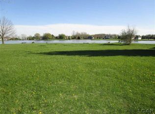 8299 Irish Mist, Onsted, MI