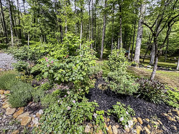 45th image of 480 Holder Cemetery Rd