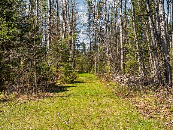 5th image of 11786 Monarch Meadow Trl