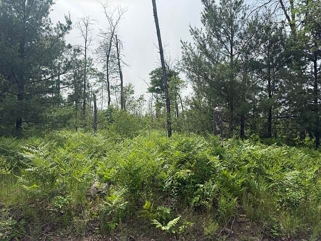 2nd image of PARCEL 2 S Nelson Rd