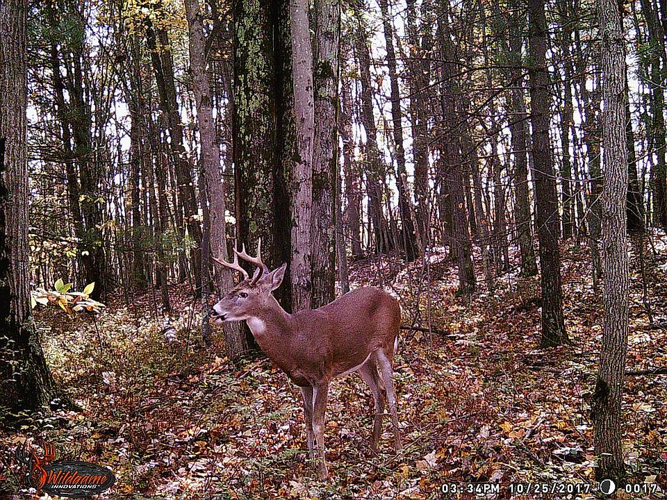 1st image of 8156 104th Ave