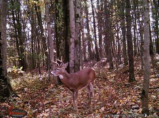 8156 104th Ave, Pentwater, MI 49449