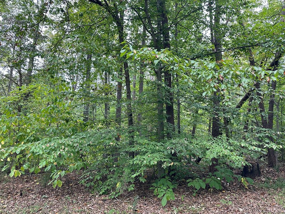 2nd image of 0 Oregon Trl Lot 1