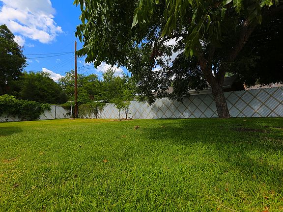 Back yard