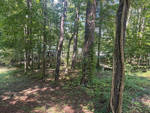 5th image of 395 Mockingbird Dr