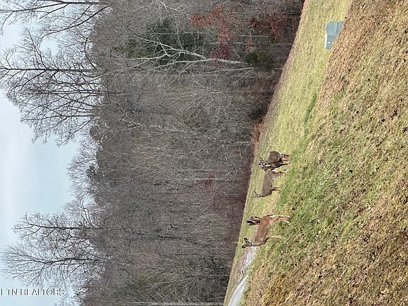 5th image of 12 Woodland Ct